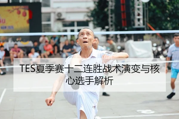 TES夏季赛十二连胜战术演变与核心选手解析